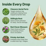 Flow Drainage Wellness Drops BOGO